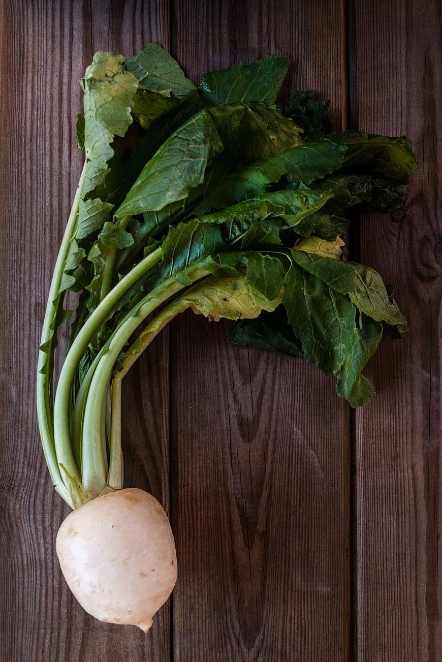 Fresh leafy greens close up