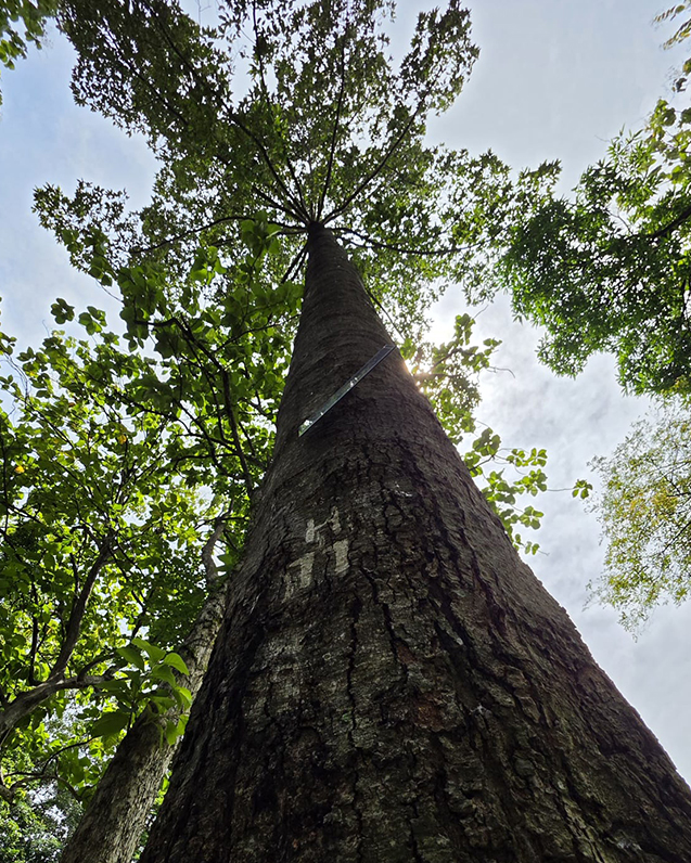 A view from the ecosystem